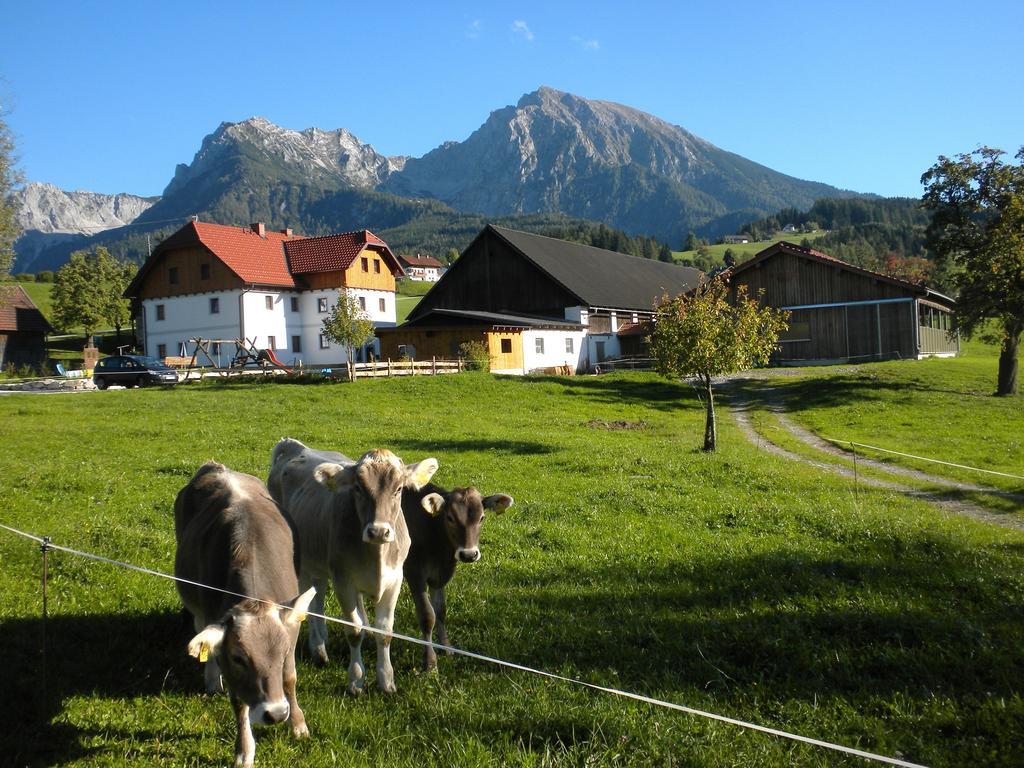 Willa Bio-Urlaubshof Dansbach Spital Am Pyhrn Zewnętrze zdjęcie