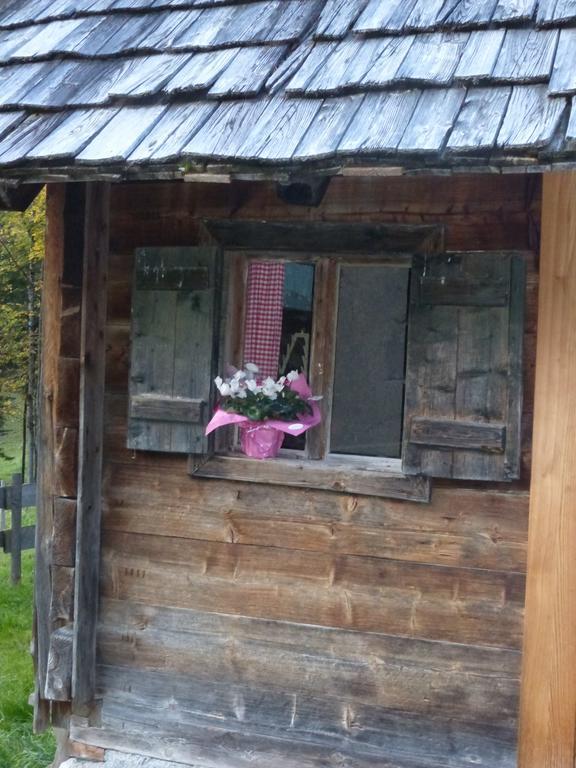 Willa Bio-Urlaubshof Dansbach Spital Am Pyhrn Zewnętrze zdjęcie