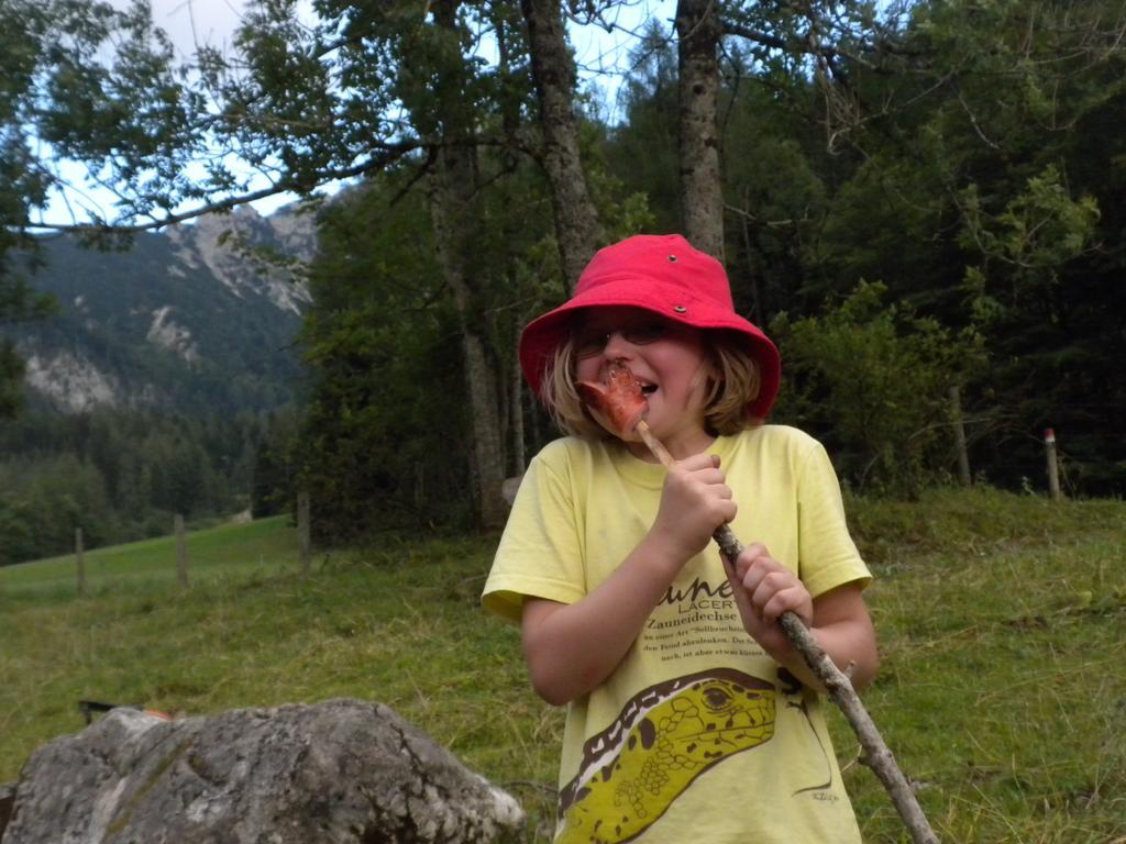 Willa Bio-Urlaubshof Dansbach Spital Am Pyhrn Zewnętrze zdjęcie