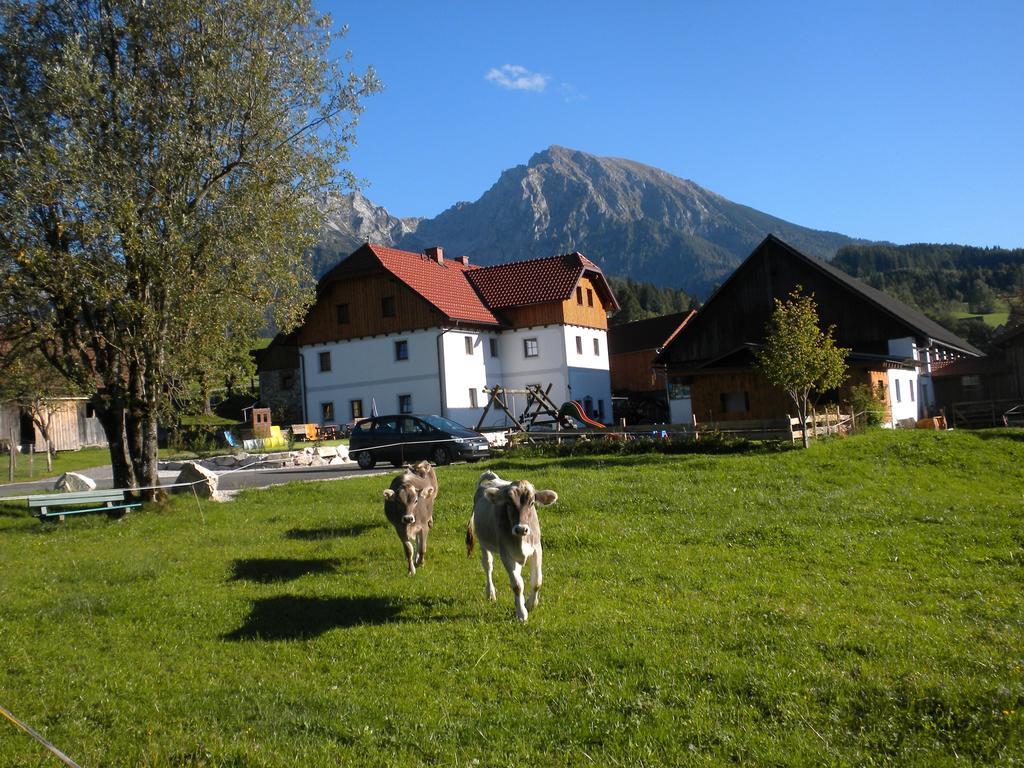 Willa Bio-Urlaubshof Dansbach Spital Am Pyhrn Zewnętrze zdjęcie